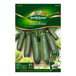 Zucchini "Terminator" 10 Stück