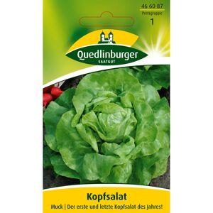 Kopfsalat 'Muck'