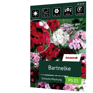 Bartnelke 'Einfache Mischung'