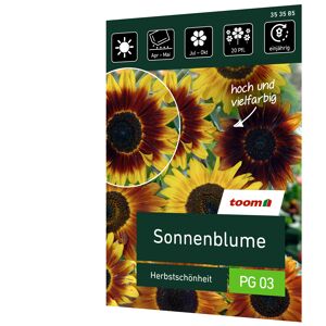 Sonnenblume 'Herbstschönheit'
