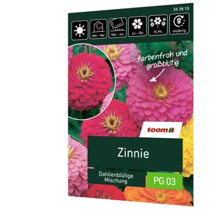 Zinnie 'Dahlienblütige Mischung'