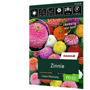 Zinnie 'Liliput Mischung'