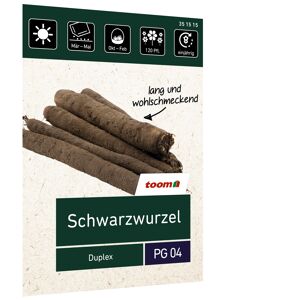 Schwarzwurzel 'Duplex'