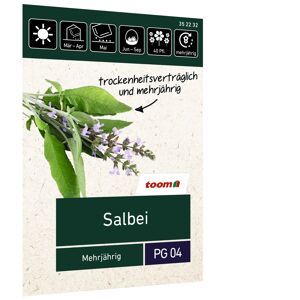 Salbei 'Mehrjährig'