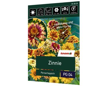 Zinnie 'Perserteppich'