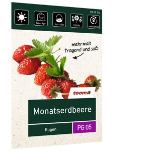 Monatserdbeere 'Rügen'