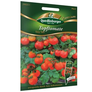 Topftomate 'Tiny Tim'