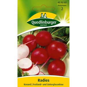 Radies 'Korund'