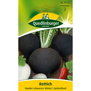 Rettich 'Runder schwarzer