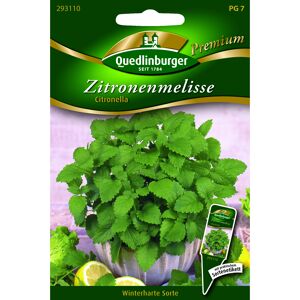 Premium Zitronenmelisse 'Citronella'