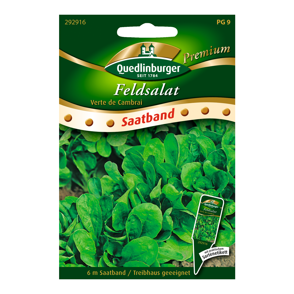 Feldsalat "Verte de Cambrai" Saatband
