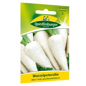 Wurzelpetersilie 'Alba'