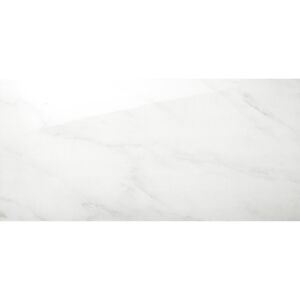 Wandfliese 'Louisville' Steingut grau 30 x 60 cm