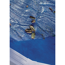 Poolabdeckung blau Ø 345 cm