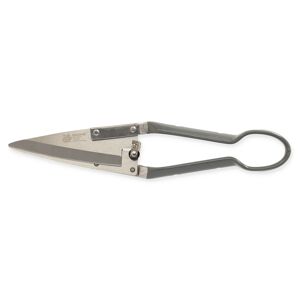 Buchsbaumschere Edelstahl 31 cm