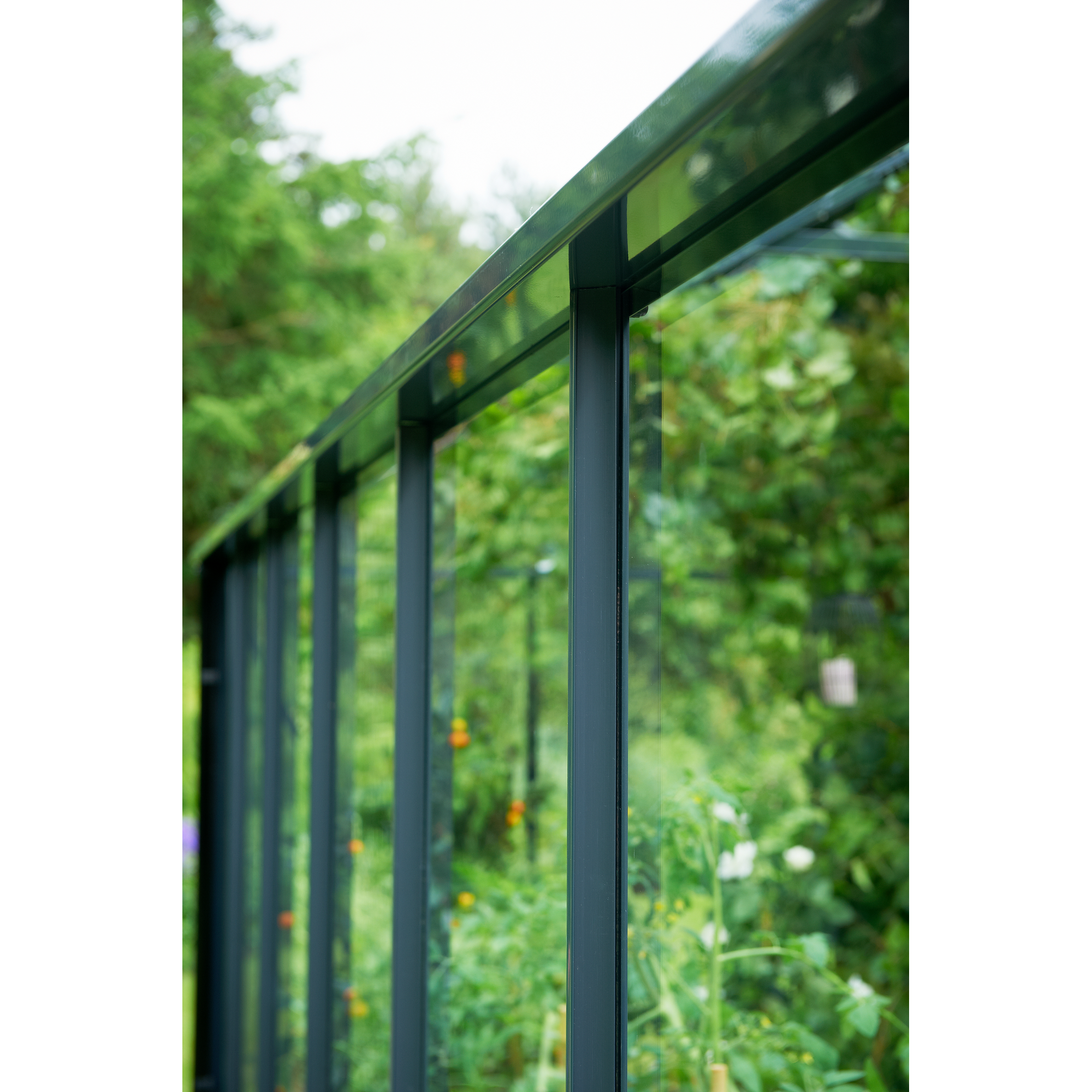 Gewächshaus 'Compact' 224 x 368 cm mit 3 mm Sicherheitsglas anthrazit/schwarz