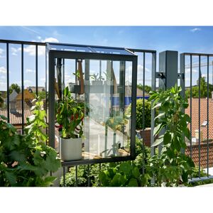 Balkongewächshaus 'Urban Balcony' 60 x 27 x 84 cm mit schwarz
