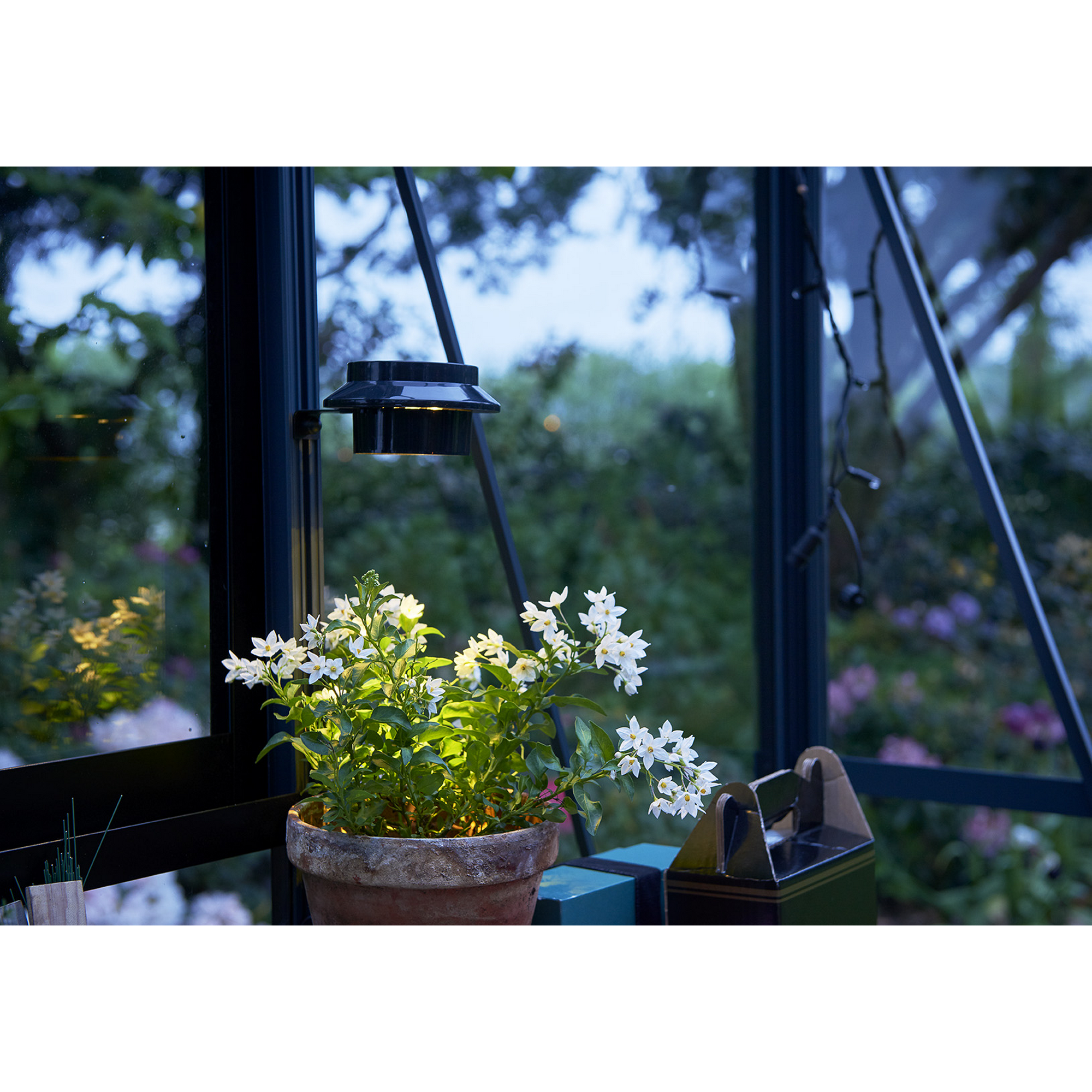LED-Solar-Lampe für Gewächshäuser schwarz