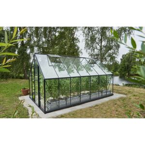 Gewächshaus 'Universal 148' 446 x 257 cm mit 3 mm Blankglas schwarz