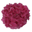 Hortensie 'Music Collection Pink Pop®', Topf Ø 23 cm