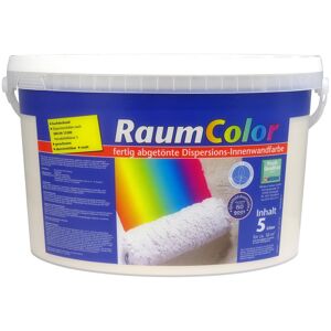 Wand- und Deckenfarbe 'RaumColor' hellbraun 5 l