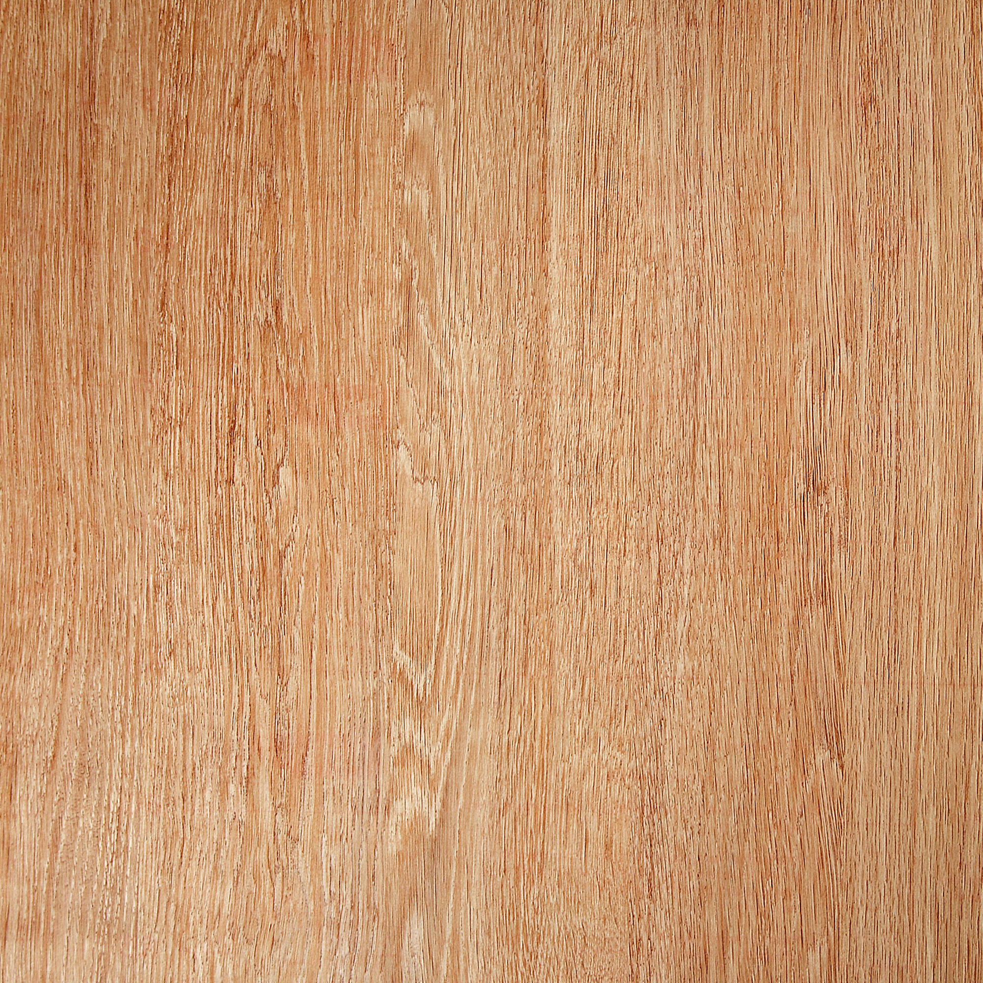 Klebefolie Santana Oak 67,5 x 200 cm