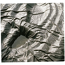Teichfolie 'Alfa' PVC 100 m x 200 cm x 0,5 mm